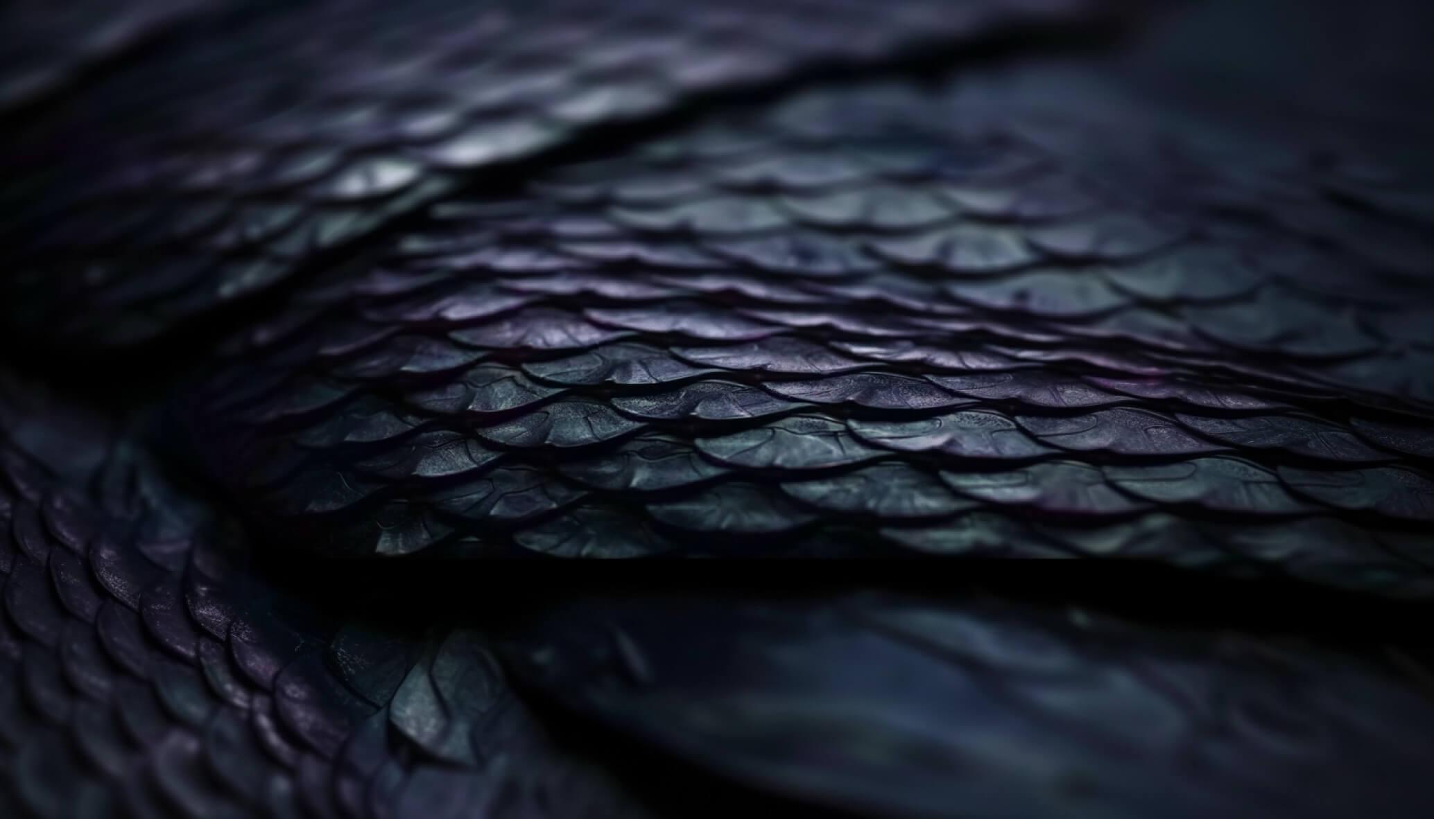 Close up of dragon scales